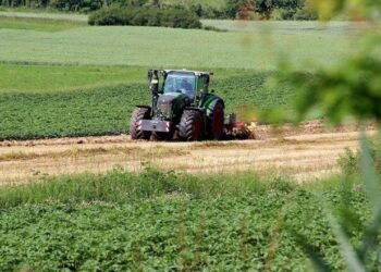 L'editoriale della settimana