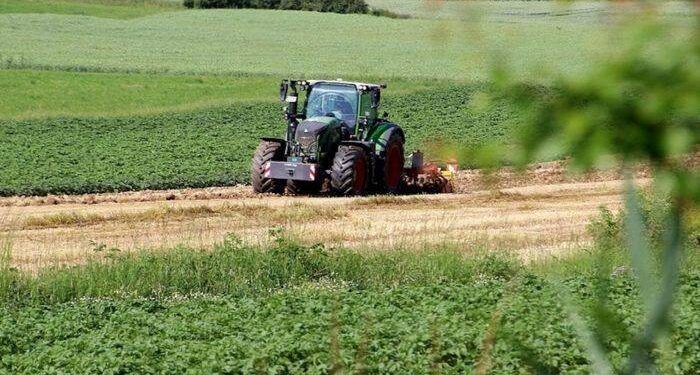 L'editoriale della settimana