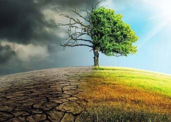 L'editoriale della settimana