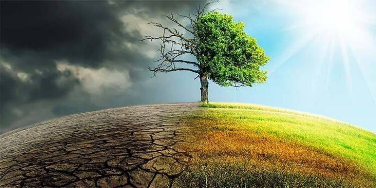 L'editoriale della settimana