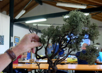 -100 giorni a Natale, al via il corso presepi