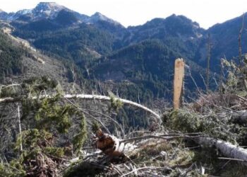 16 milioni per altri 75 cantieri “post Vaia”