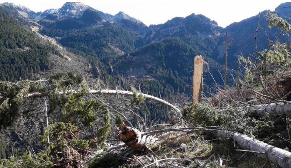 16 milioni per altri 75 cantieri “post Vaia”