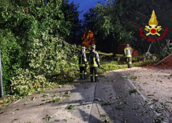 24 tempeste nel Nordest in una giornata