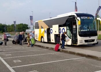 650 pellegrini a Lourdes