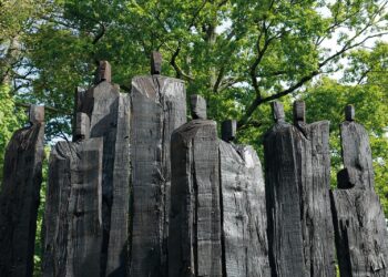 A Buttrio apre il Tree Art Festival