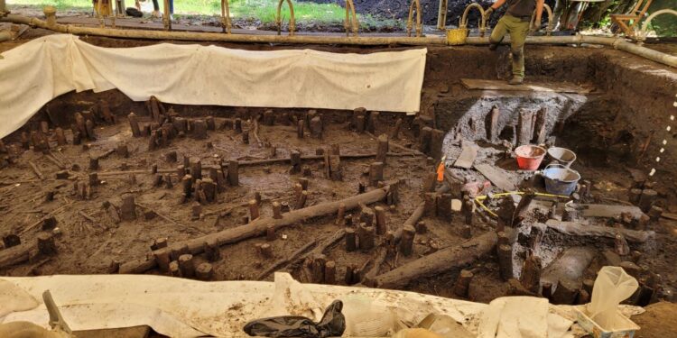 A Palù scoperte nuove palafitte