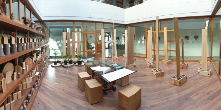 A Paluzza la “Vetrina dei legni del Fvg”