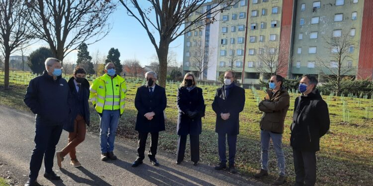 A Udine un bosco urbano con 1300 piante