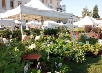 A Villa Manin torna “Nel giardino del Doge”