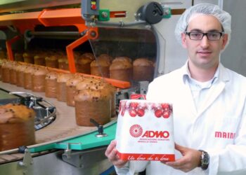 Admo, nelle piazze “un panettone per la vita”