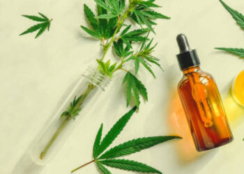 Agricoltura: Coldiretti Fvg, cresce l’interesse per la canapa