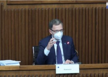 Agricoltura: bando da 3,4 mln per giovani titolari d’azienda