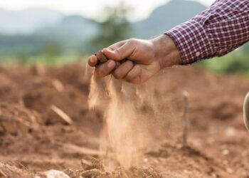 Agricoltura, il Fvg ha chiesto il riconoscimento dello stato di siccità