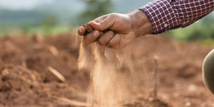 Agricoltura, il Fvg ha chiesto il riconoscimento dello stato di siccità