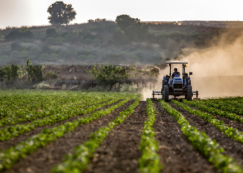 Agricoltura, la Giunta Fvg vara il programma “anticrisi”