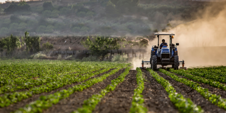 Agricoltura, la Giunta Fvg vara il programma “anticrisi”