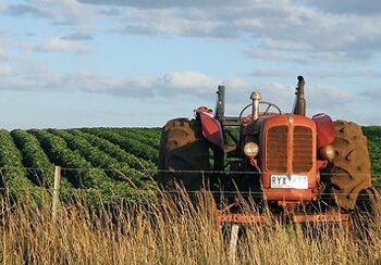 Agricoltura schiacciata da siccità e inflazione