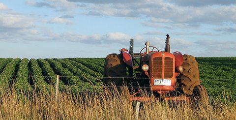 Agricoltura schiacciata da siccità e inflazione
