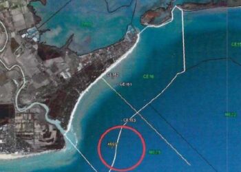 Al largo di Lignano una nuova casa per pesci, crostacei e molluschi con le piramidi sottomarine