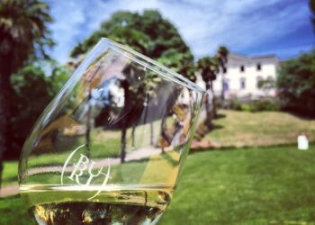 Al via la 90ª Fiera dei vini a Buttrio