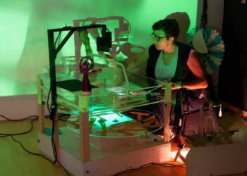 Al via la terza edizione di DiverSimili, il Festival della Biodiversità