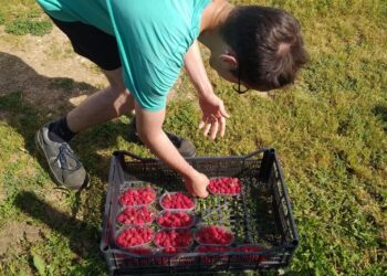 Alla Viarte, i ragazzi “difficili” apprendono “fuori classe”