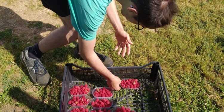 Alla Viarte, i ragazzi “difficili” apprendono “fuori classe”