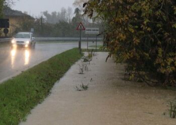 Allagamenti e una frana in Friuli
