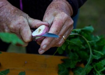 Anche il Fvg a Terra Madre, Salone del Gusto