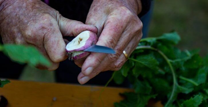 Anche il Fvg a Terra Madre, Salone del Gusto