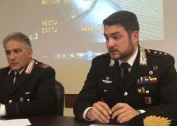 Ancora tanto hashish in Carnia