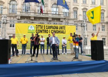 Animali selvatici, un incidente ogni 48 ore