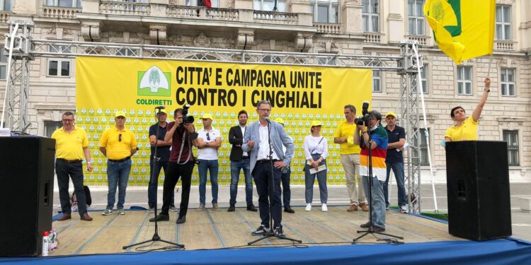 Animali selvatici, un incidente ogni 48 ore