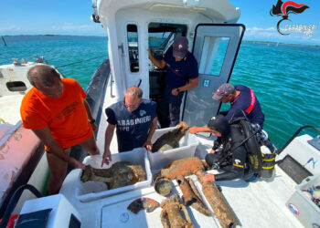 Archeologia sommersa a Grado: reperti dell’antica Aquileia