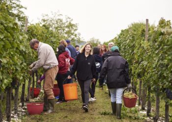 “Bene il ritorno ai voucher”