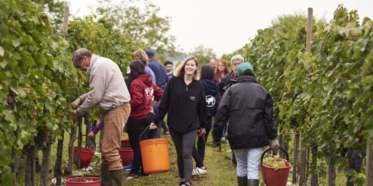 “Bene il ritorno ai voucher”