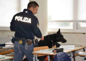 Blitz antidroga nelle scuole di Cividale