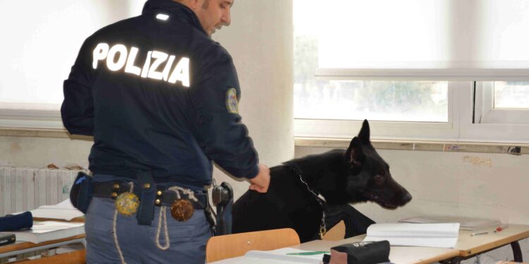 Blitz antidroga nelle scuole di Cividale