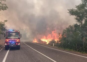 Bosco in fiamme vicino al confine sloveno