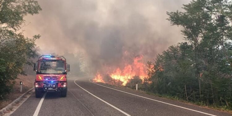 Bosco in fiamme vicino al confine sloveno