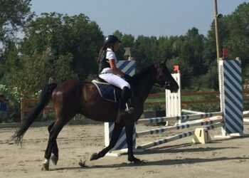 Cade da cavallo a Manzano: 13enne gravissima