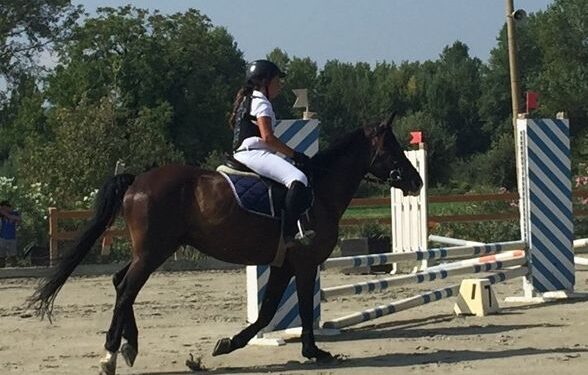 Cade da cavallo a Manzano: 13enne gravissima