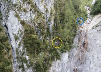 Cade da un dirupo, è grave