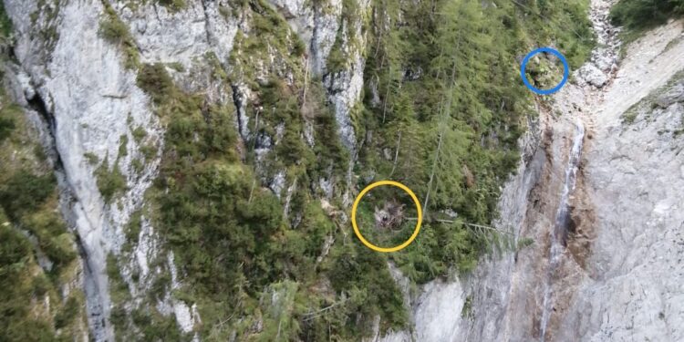 Cade da un dirupo, è grave