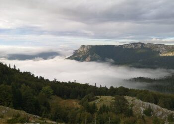 Cambiamenti climatici, l’ateneo di Udine guida un progetto europeo