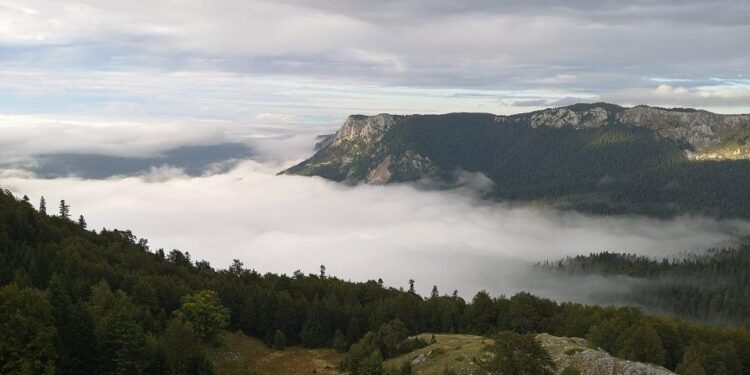Cambiamenti climatici, l’ateneo di Udine guida un progetto europeo
