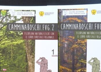 Camminaboschi: la guida con 27 itinerari