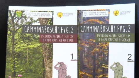 Camminaboschi: la guida con 27 itinerari