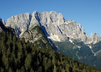 CamminaboschiFvg, on line la nuova webApp